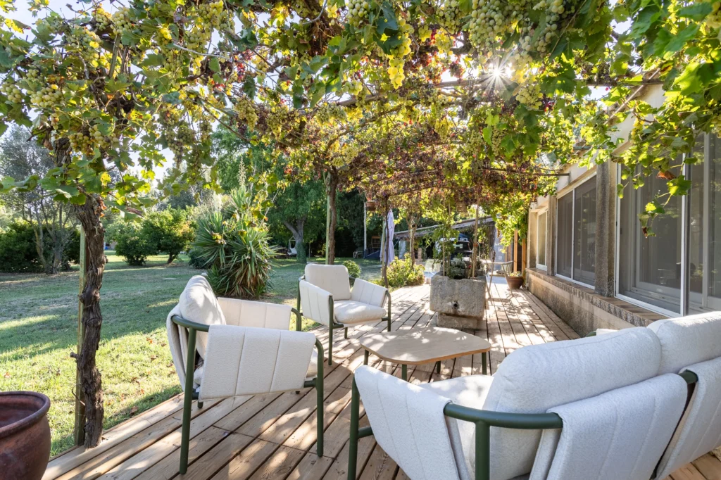 Terrasse ombragée et végétalisée d’une maison provençale